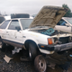 Illustration for article titled Tacoma Junkyard Visit
